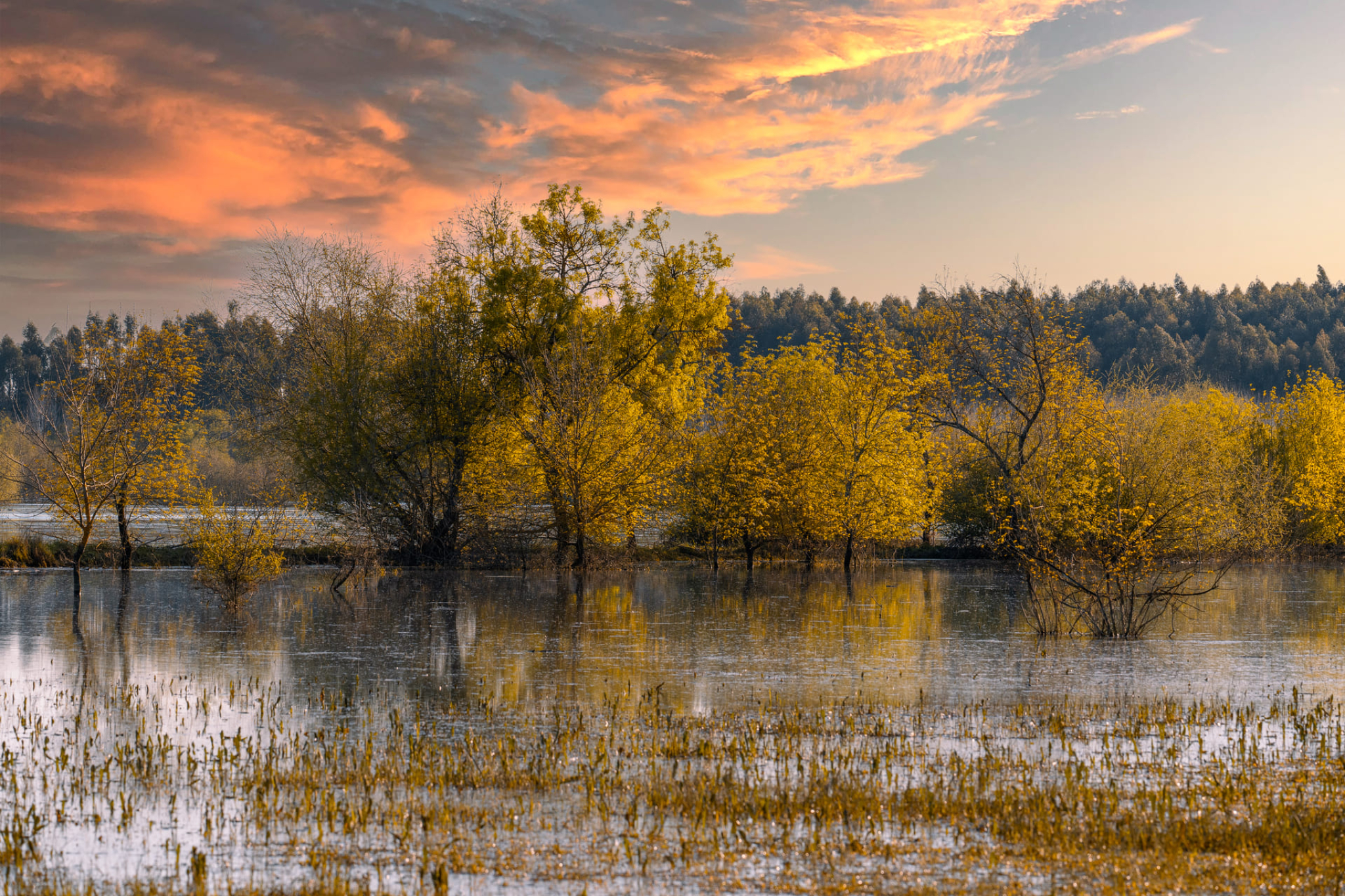 Natureza