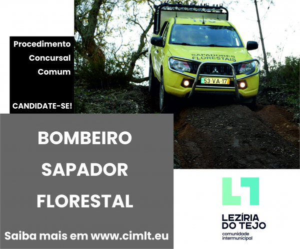 PROCEDIMENTO CONCURSAL COMUM PARA RECRUTAMENTO NA CARREIRA E CATEGORIA DE BOMBEIRO SAPADOR FLORESTAL