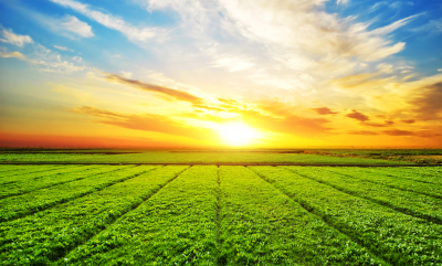 COMUNICADO À IMPRENSA - 5,2 milhões de euros para o Centro de Excelência para a Agricultura e a Agroindústria